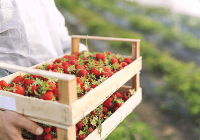 Công Ty Cổ Phần Phân Bón Và Hóa Chất Dầu Khí Miền Bắc (Pvfcco North) Tổ Chức Thành Công Chương Trình “Họp Triển Khai Công Tác Kinh Doanh Năm 2021” Tại Thanh Hóa