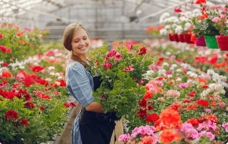 Hướng Dẫn Sử Dụng Phân Bón NPK Phú Mỹ 12-10-9+Te Và NPK Phú Mỹ 15-15-15