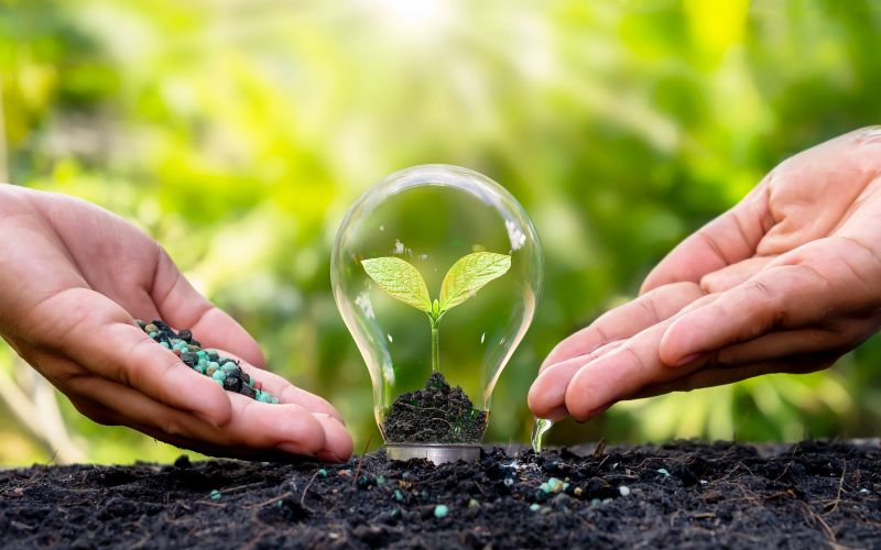 Lên kế hoạch cho kỹ thuật bón phân cho cây
