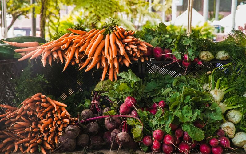 Cơ hội xuất khẩu nông sản 