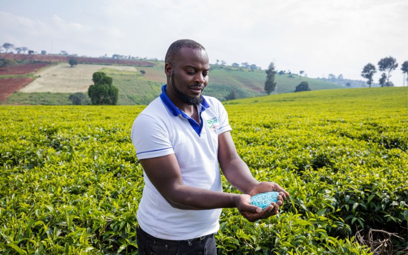 Phân Bón Nhập Khẩu: Lựa Chọn Sản Phẩm Tốt Nhất