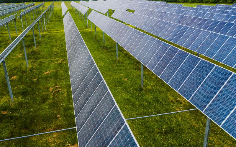 Công Nghệ Xanh Trong Nông Nghiệp: Tương Lai Phát Triển