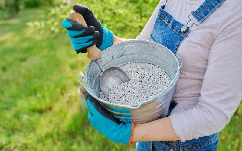 Phân Bón Lân: Vai Trò Quan Trọng và Các Loại Phân Lân Phổ Biến