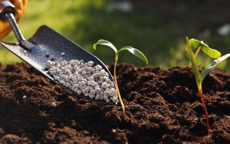 Giới Thiệu Về Phân Bón Lân