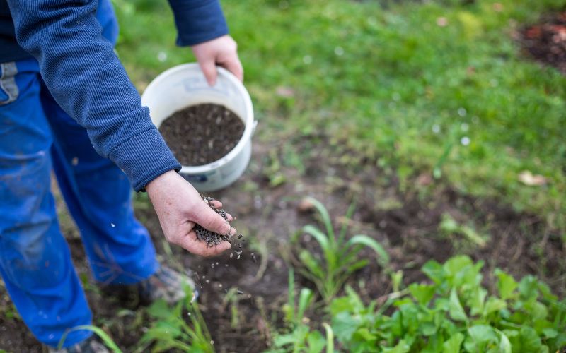 Phân Thúc: Giải Pháp Tối Ưu Hóa Năng Suất Cây Trồng