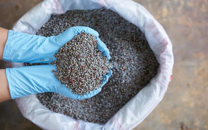 Phân Bón Chất Lượng Cao