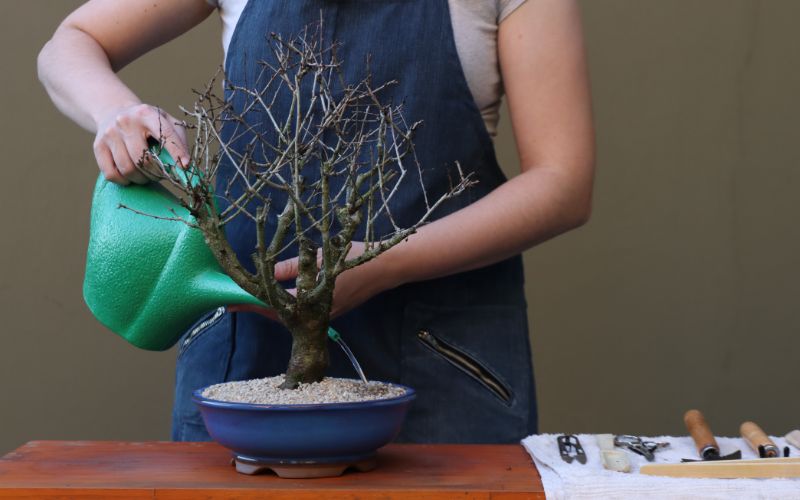 Lựa chọn phân bón phù hợp 