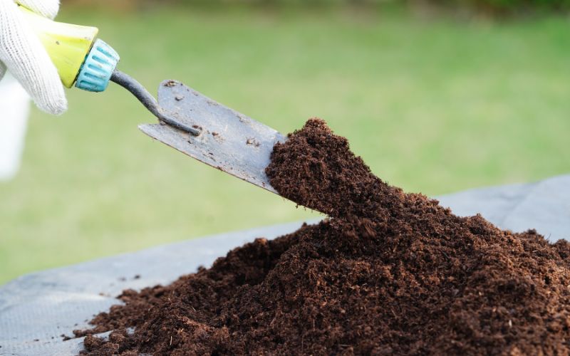 Phân Bón Hữu Cơ Truyền Thống: Lợi Ích và Ứng Dụng Trong Nông Nghiệp